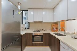 La Fiesta (D19), Condominium #562458741